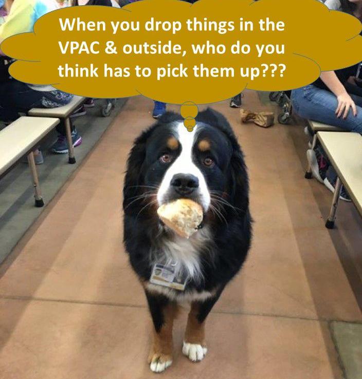 BennyLitter.jpg